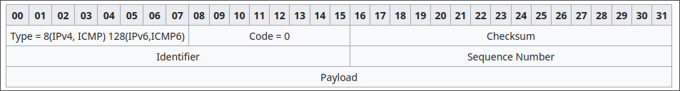 ICMP echo header and payload